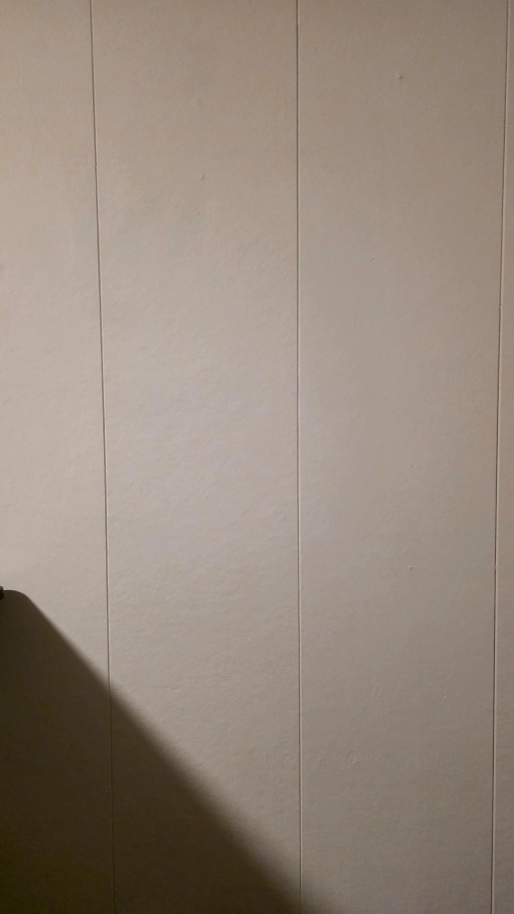 Kelsey background 4